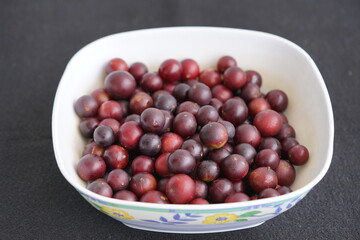 Super ripe camu camu fruits (Myrciaria dubia), Myrtaceae family, 35 percent more vitamin C than oranges, and thus protects your immune system against many diseases. Amazon, Brazil.