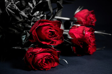 Red Roses