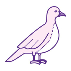 PNG image icon of pink birds with purple transparent background