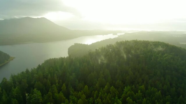 Lush green forest road Ucluelet Vancouver Island British Columbia Misty island mountains West Coast Canada Pacific Ocean coast. Beautiful Pacific Rim National Park Golden sunrise blue water aerial