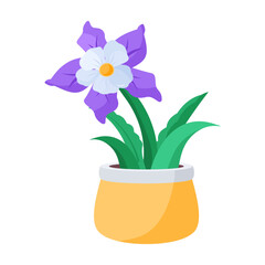 Columbine Flower 