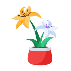 Lilies 
