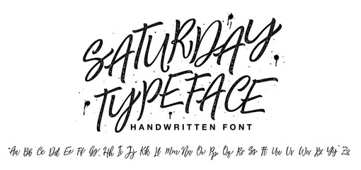 Handwritten font. Vector hand drawn alphabet isolated on white background. Brush painted letters. Decorative artistic font. Black letters.	
