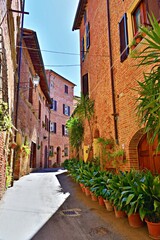 Fototapeta na wymiar cityscape of Foiano della Chiana, medieval Tuscan village in the province of Arezzo, Italy 