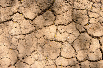 Wall texture soil dry crack pattern of drought lack of water of nature brown old broken background.