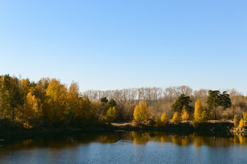 Autumn trees on the shore of a forest lake