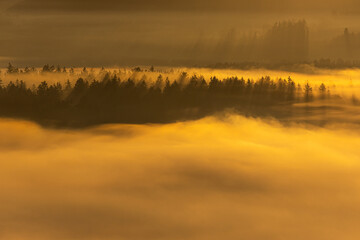 stimmungsvoller Sonnenaufgang mit Nebel