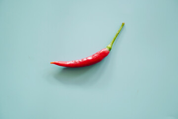 red hot chili pepper on blue background