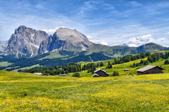 The SasLong and the Sasso Piatto, seen from the Alpe di Siusi