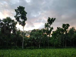 The weather before rain is often characterized by a buildup of humidity in the air and a feeling of heaviness. The sky may also become overcast with dark clouds as the rain approaches.