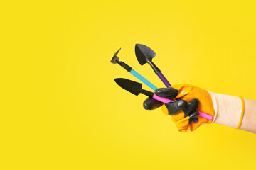 Hand in gardening glove with gardening tools on a colored background