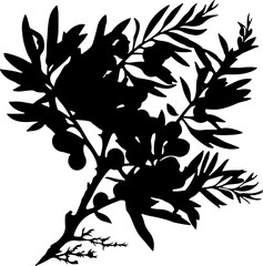 sea buckthorn branch, illustration, silhouette