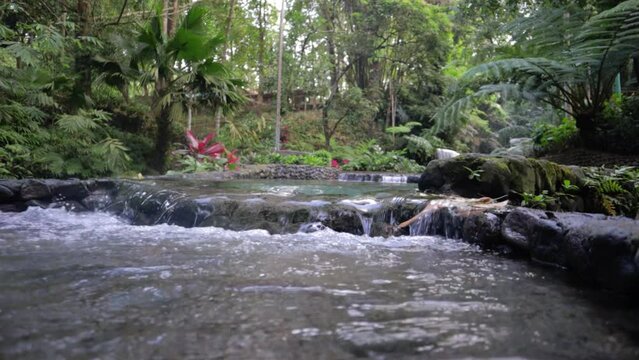 river in the forest bato spring laguna philippines