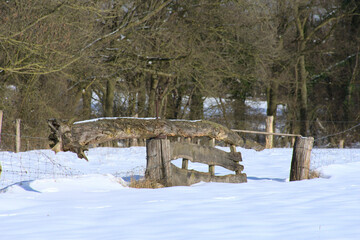 Altes Weidentor im Münsterland