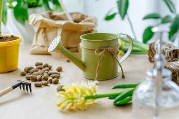 Gardening tools and flowers on the table. Spring concept.