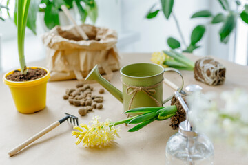 Gardening tools and flowers on the table. Gardening concept