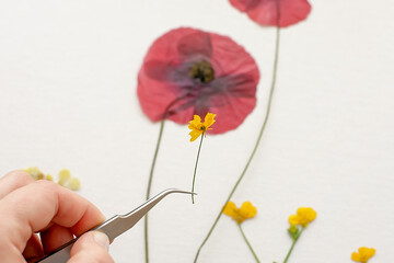 woman making herbarium of dry flowers at wooden table. A woman lays out a composition. Master class...