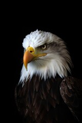 Naklejka premium Bald Eagle Portrait. Generative AI Image