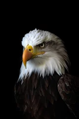 Foto op Canvas Bald Eagle Portrait. Generative AI Image © Minh Do