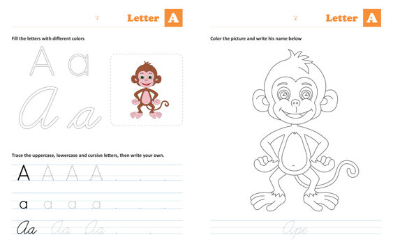 Letter A  - Tracing and coloring letters: Animals by alphabet series, helps children trace uppercase, lowercase and cursive letters (The designs are made with vector editable outlines)