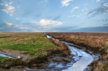 Noard Fryslan Butendyks Nature Reserve, The Netherlands.