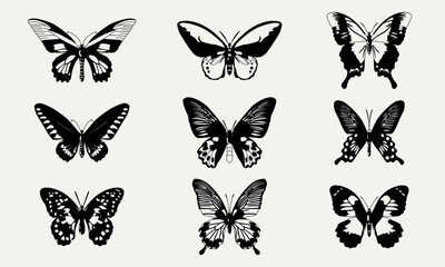 set of butterflies