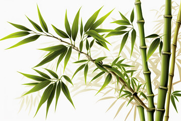 Bamboo realistic and  white background, Generative AI


