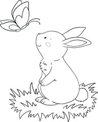 cute little bunny with a butterfly