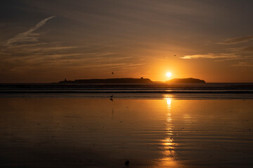 Fototapeta na wymiar Seagulls on the beach at sunset