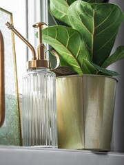 Vertical closeup of a green plant with large leaves in pot and a glass soap dispenser on windowsill