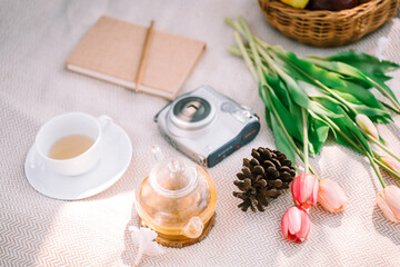 Leisure and relax in the garden, top view objects for reading and rest on mat .