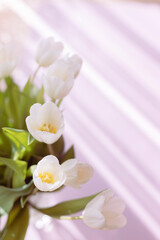 Fototapeta na wymiar bouquet of white tulips