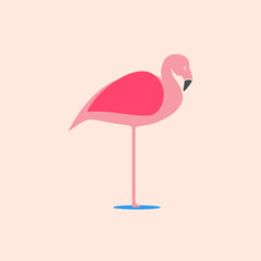 pink flamingo vector