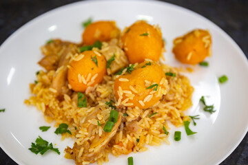 Traditional Brazilian delicacy, rice with chicken and pequi (Caryocar breasiliense). 