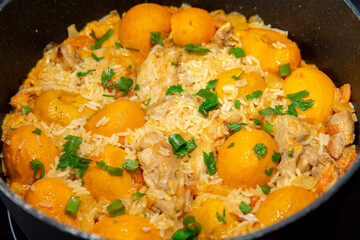 Traditional Brazilian delicacy, rice with chicken and pequi (Caryocar breasiliense). 