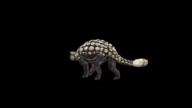 Dinosaur Ankylosaurus Walk 3D Animation Video Transparent Alpha