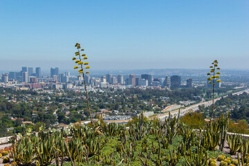 Views of the city of Los Angeles 