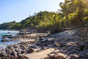 Fototapeta na wymiar sand, tree and rocks on the beach and sea with a blue sky with warm sun and godrays