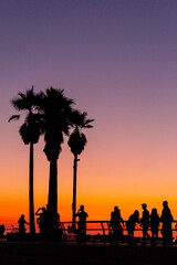 silhouettes of people watching the skateboarders at the venice beach skate park during sunset in california. © Adam