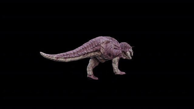 Dinosaur Carnotaurus Run Loop 3D Animation Video Transparent Alpha