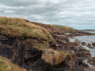 Fototapeta na wymiar Picturesque Irish seaside landscape. Wild vegetation grows on stony soil. Cloudy sky over the ocean coast. Views on the wild Atlantic way, hills under clouds.