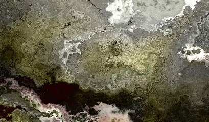 A mouldy decaying wall surface texture