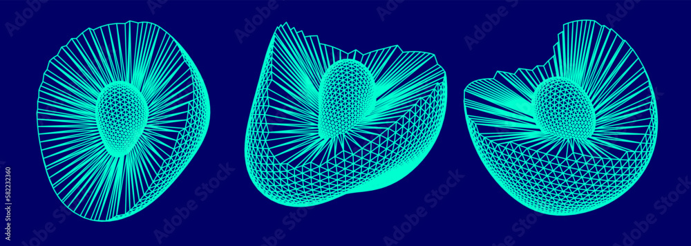 Leinwandbilder distorted shapes made of mesh. set of abstract vector 3d elements for cover or poster design.