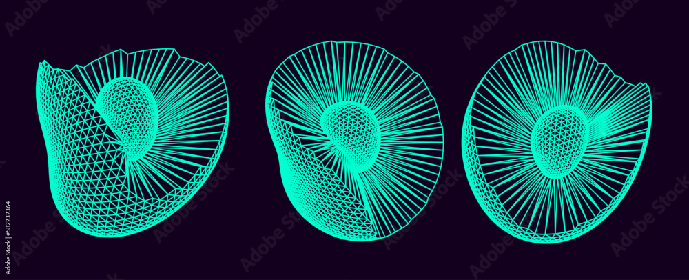 Fototapete distorted shapes made of mesh. set of abstract vector 3d elements for cover or poster design.