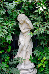 posąg kobiety w ogrodzie, posąg kobiety z piaskowca otoczony pnączami, statue of a woman in garden, garden statue of a woman surrounded by green climber	 - obrazy, fototapety, plakaty