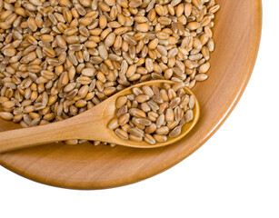 grains of  wheat