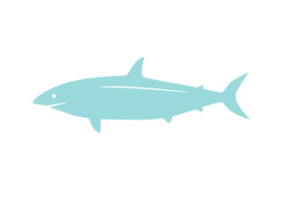 shark illustration
