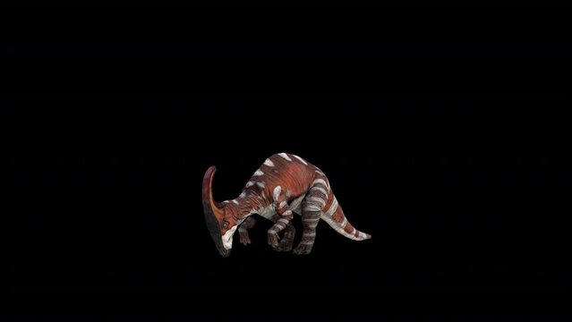Dinosaur Parasaurolophus Eat Loop 3D Animation Video Transparent Alpha