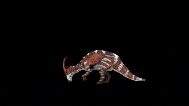 Dinosaur Parasaurolophus Eat Loop 3D Animation Video Transparent Alpha