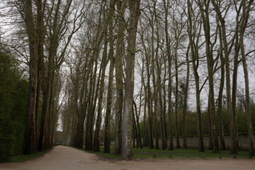 Naklejka premium Statues, fountains and Parterre - Gardens of the Palace of Versailles - Versailles - Yvelines - France